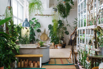 Fototapeta na wymiar Home garden in retro style. Scandinavian interior design of winter indoor garden with houseplants. Old house orangery with potted tropic flowers, monstera, ceramic pots in boho. Greenhouse concept