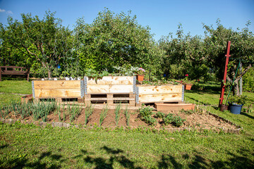 a raised bed in the garden for vegetables and fruit