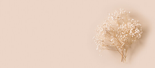 Dry natural grass, leaves and flowers beauty and fashion concept mock up
