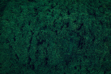 Natural abstract modern green background