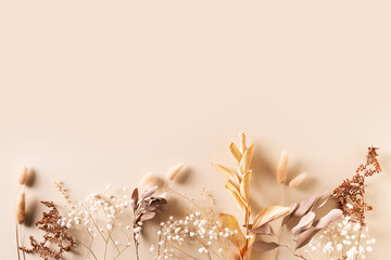 Dry natural grass, leaves and flowers beauty and fashion concept mock up