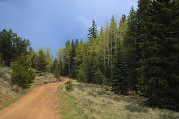 Fototapeta na wymiar Bugling Elk Trail Staunton State Park 