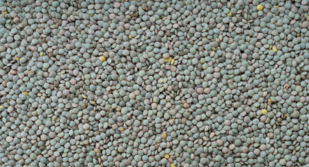 Green lentils. Legumes background. Vegetable detail texture.