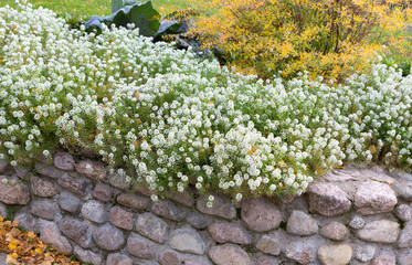 Landscape design with stones