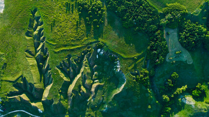 wildlife in spring, shooting from a drone