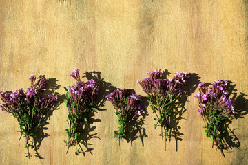 lavender on wooden background