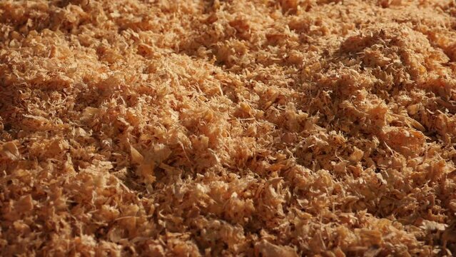 Sawdust On Floor Carpentry DIY Scene