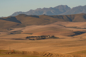 Fototapeta na wymiar Caledon, Western Cape, South Africa. 2022. The wheatlands area of the Overberg region close to Caledon and the Riversonderend mountain range.