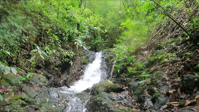 Cascada De Mariato Panam&aacute;
