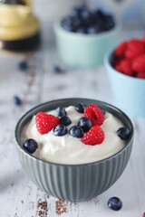 A bowl with Greek yogurt with berries