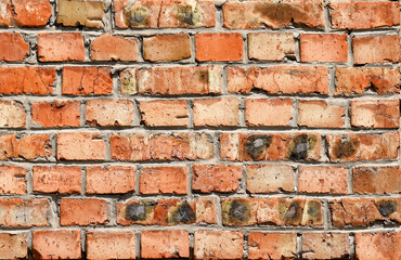 Fototapeta premium Texture of an old and heavily damaged brick wall as a background
