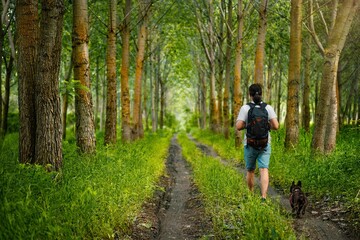 Obraz premium couple walking in the forest