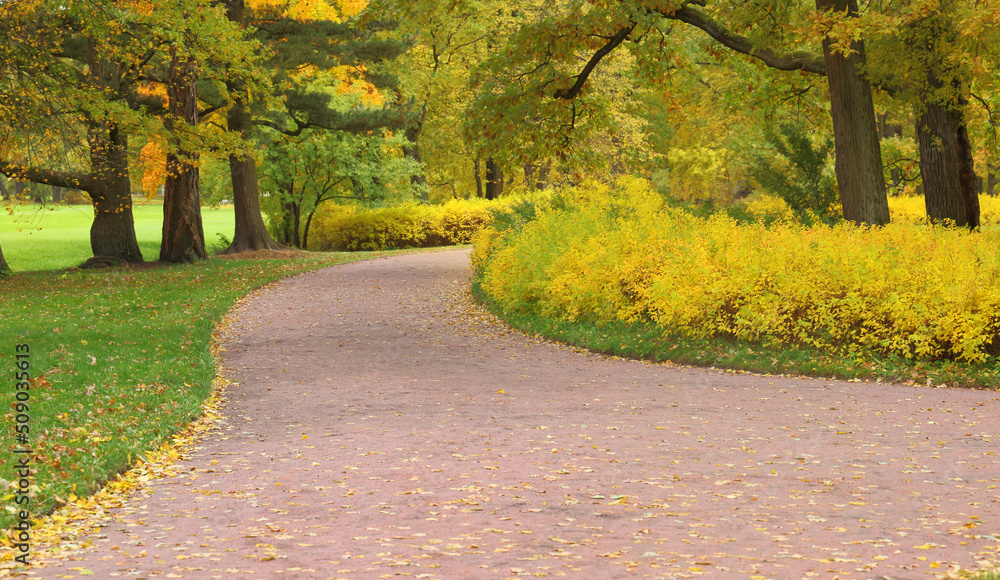 Canvas Prints landscape with path between yellow trees