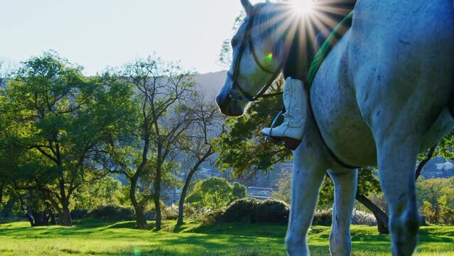 A teenage girl rides a horse at sunset. A young woman astride the horse slowly moves across the field. Sun rays and glares