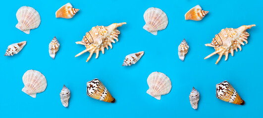 seashells seamless pattern on blue background for print travel concept