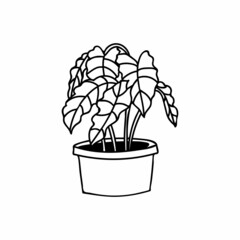 House plant doodle illustration in vector. House plant hand drawn illustration. Pot plant doodle illustration