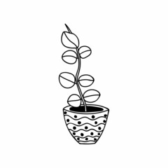 House plant doodle illustration in vector. House plant hand drawn illustration. Pot plant doodle illustration