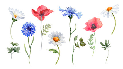 Meadow flower. Daisy, poppies, cornflower, greenery and branches bouquets. Watercolor illustration for greeting cards, poster, scrapbooking, wedding invitation, summer home decor