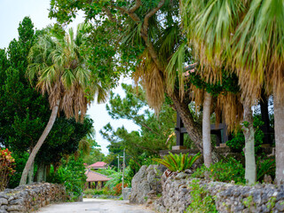 Fototapeta premium 竹富島の町並み