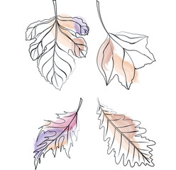 Set of hand-drawn tree leaves