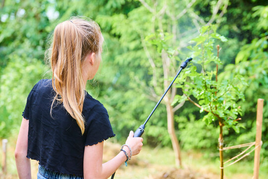 Teenage girl spraying ecological product against aphids and other pests on fruit trees and other trees in the garden and orchard. Selective focus