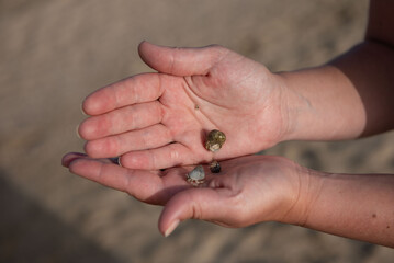 Hermit crab plays on a women hand