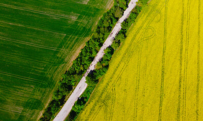 Aerial view of a rural road with fields of rapeseed and wheat