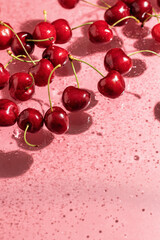 Cherry art concept in modern style on pink background with shadows, wallpaper, top view, text space