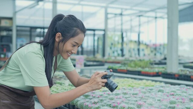 Business concept of 4k Resolution. Asian woman taking pictures of cactus in the garden. using a digital camera.