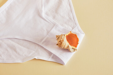 women's underwear on a beige background, white cotton panties with lace and a shell on a beige background