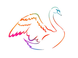 Beautiful multicolored abstract silhouette of a swan. One line drawing. Vector illustration