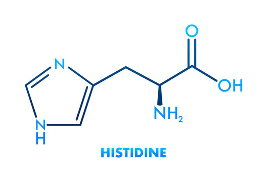 Histidine l-histidine, his, H amino acid molecule. Vector illustration