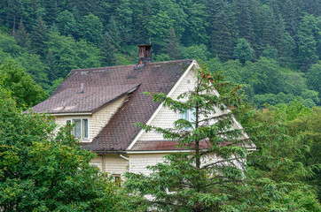 Fototapeta na wymiar Juneau, Alaska, USA - July 19, 2011: Brown roof of white house sticks out of pine forest. Living in the green. Electric lines over it.