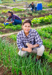 Woman farmer harvesting green onions on the field