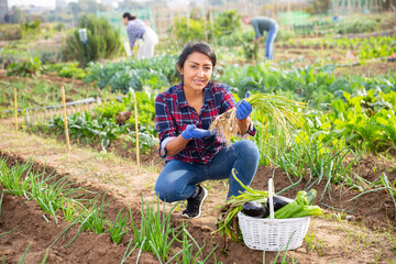 Portrait of happy hispanic woman showing rich crop of vegetables in kitchen garden on sunny fall day