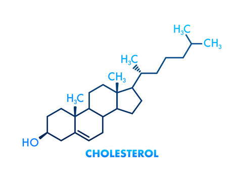 Cholesterol formula on white background. 3d cholesterol formula