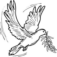 Dove of peace flying with green olive branch. White pigeon is holly spirit, love, freedom. Bird and plant are nature elements. Hand drawn retro vintage vector illustration. Old style cartoon drawing. 
