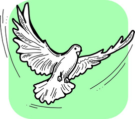 White dove is symbol of peace, hope, love in the world. Flying pigeon like holy spirit brings freedom, joy, grace. Hand drawn retro vintage vector illustration. Old style comics cartoon line drawing.