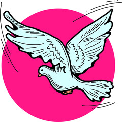 White dove is symbol of peace, hope, love in the world. Flying pigeon like holy spirit brings freedom, joy, grace. Hand drawn retro vintage vector illustration. Old style comics cartoon line drawing.