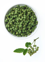 山椒の実　　白バック