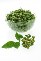 山椒の実　　白バック