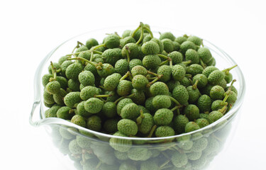 山椒の実　　白バック