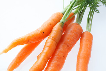 ミニキャロット　白バック　