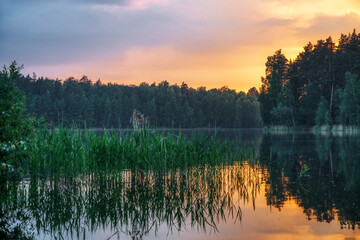 Sunset around the summer lake