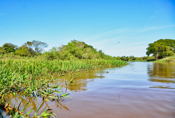 Muddy River Amid Swamp Lands In Brazil Pantanal