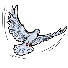White dove is symbol of peace, hope, love in the world. Flying pigeon like holy spirit brings freedom, joy, grace. Hand drawn retro vintage illustration. Old style comics cartoon line drawing.