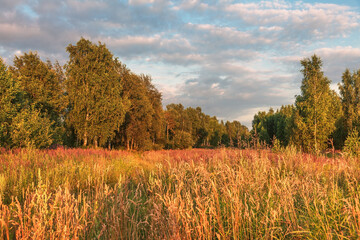 Fototapeta premium Autumn landscape, bush and trees on a meadow