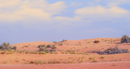 Fototapeta na wymiar Horseback riding in the desert. Beautiful wavy sands, dunes and riders on horseback.