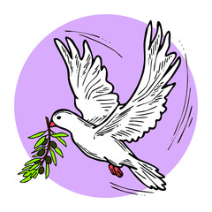 Dove of peace flying with green olive branch. White pigeon is holly spirit, love, freedom. Bird and plant are nature elements. Hand drawn retro vintage illustration. Old style comic cartoon drawing. 