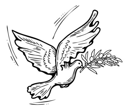 Dove of peace flying with green olive branch. White pigeon is holly spirit, love, freedom. Bird and plant are nature elements. Hand drawn retro vintage illustration. Old style comic cartoon drawing. 